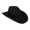 Chapeau de cowboy en daim par Make Market®